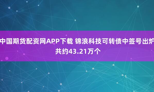 中国期货配资网APP下载 锦浪科技可转债中签号出炉 共约43.21万个