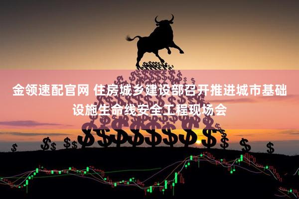 金领速配官网 住房城乡建设部召开推进城市基础设施生命线安全工程现场会