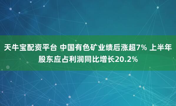 天牛宝配资平台 中国有色矿业绩后涨超7% 上半年股东应占利润同比增长20.2%